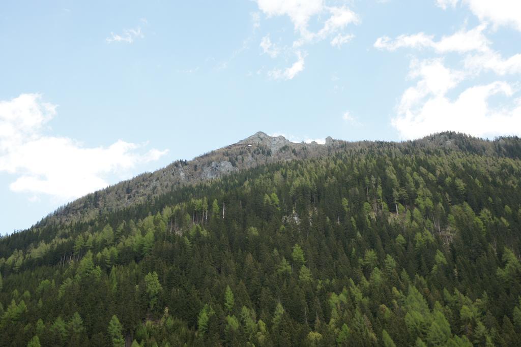 Saeuleck Appartement Inkl Skibus มัลล์นิทซ์ ภายนอก รูปภาพ