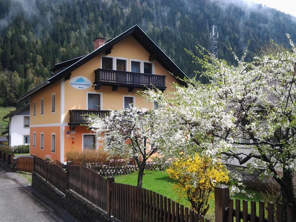 Saeuleck Appartement Inkl Skibus มัลล์นิทซ์ ภายนอก รูปภาพ